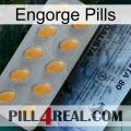 Engorge Pills 44